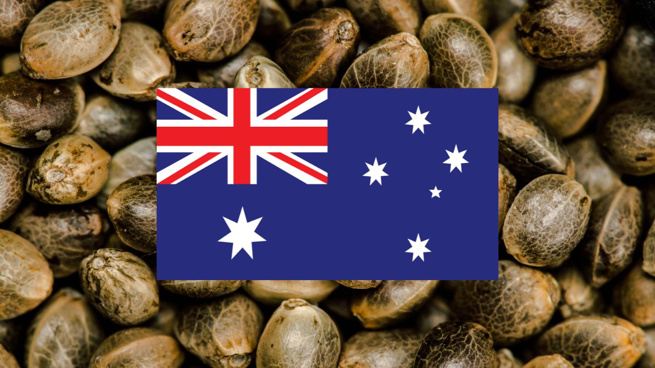 Seed Banks That Ship To Australia