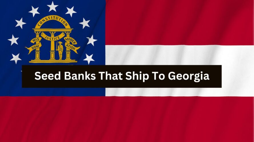 Seed Bank That Ship To Georgia