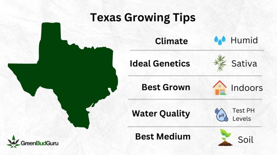 Texas Growing Tips