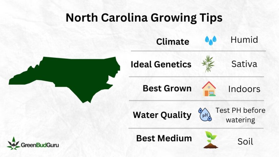 North Carolina Cannabis Growing Tips