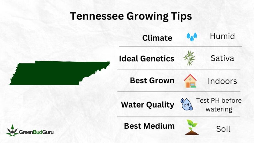 Tennessee cannabis growing types
