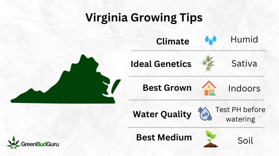 Virginia Cannabis Growing Tips