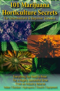101 Marijuana Horticulture Secrets - Harvest HUGE Cannabis Crops 2022 Edition: Growing Marijuana Indoors, Outdoors, Stealth, Equipment, Accessories & Everything You Need to Know About How to Grow Weed