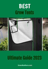 Best Grow Tents - Ultimate Guide 2023