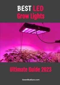 Best LED Grow Lights