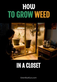 How To Grow Weed in a Closet