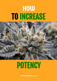 How To Increase Potency