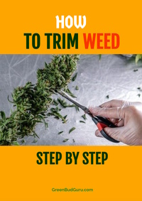 How To Trim Weed