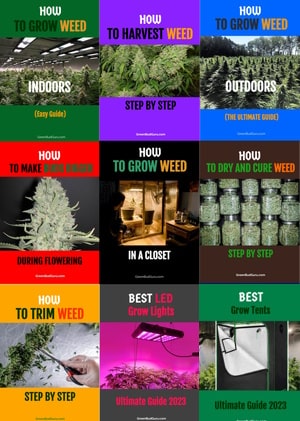 Learn To Grow Weed