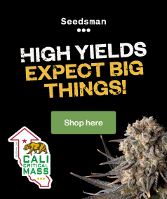 High Yields Expect Big Things