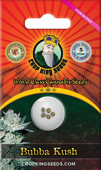 Bubba Kush Feminized Marijuana Seeds