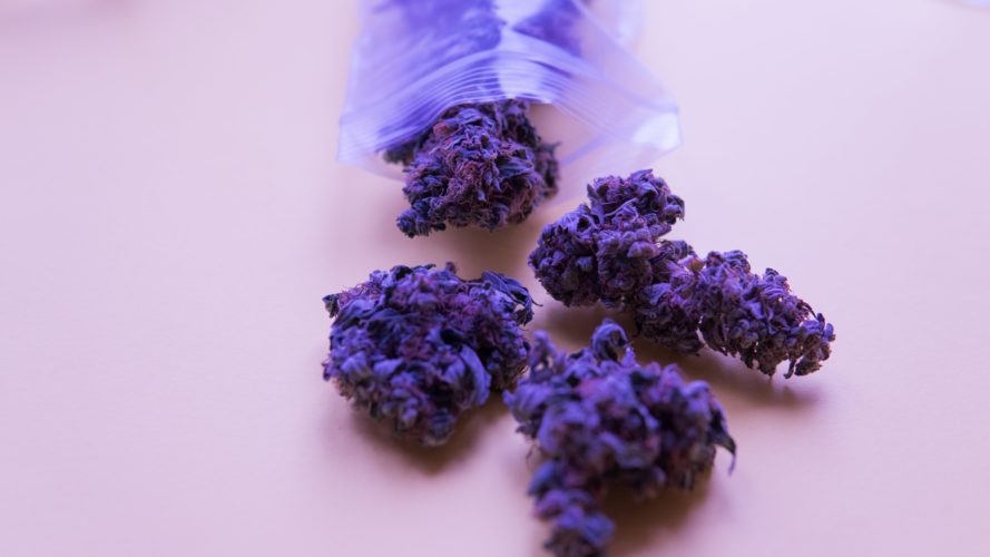 Purple Weed Strains