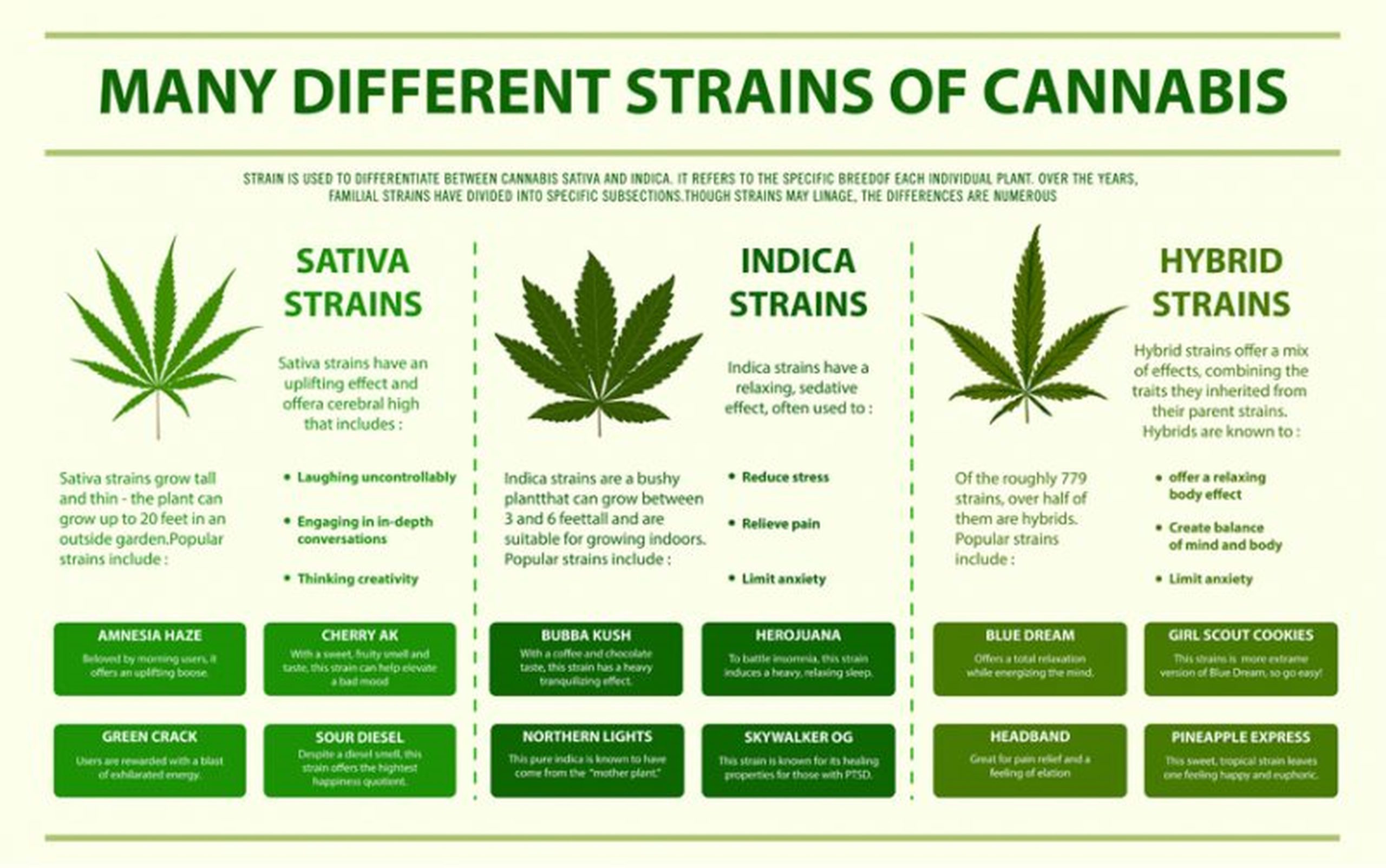 How-Strains-Differ