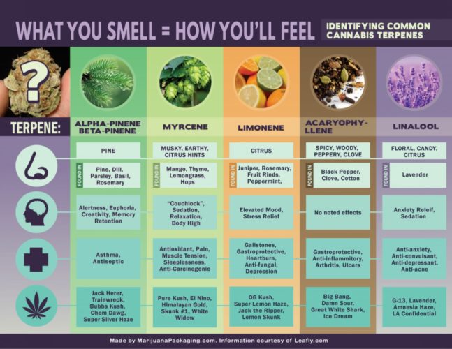 Terpene Chart