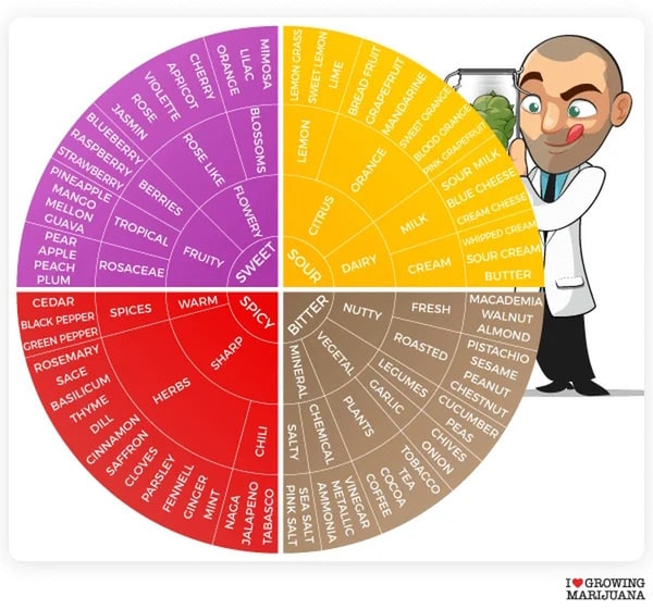 ILGM Terpenes strains growing marijuana600 min