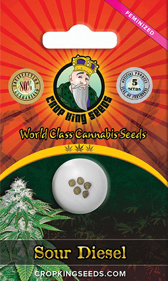 Sour Diesel Feminized Marijuana Seeds