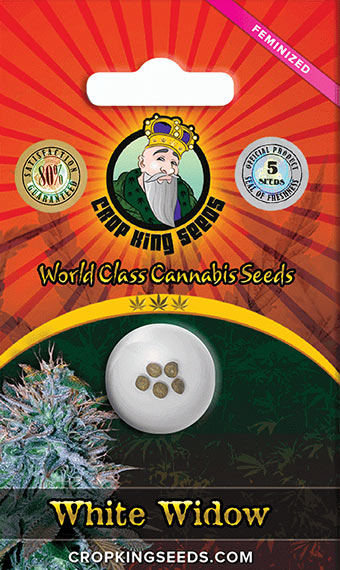 White Widow Feminized Marijuana Seeds