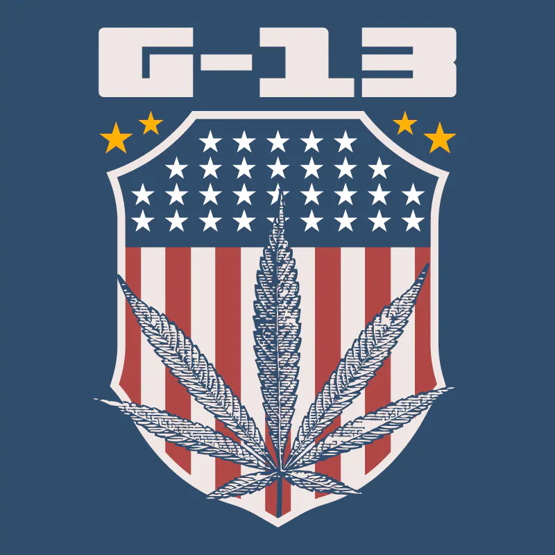 g 13 1