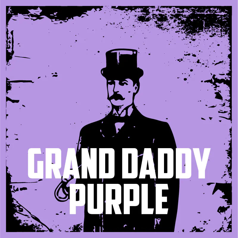 grand daddy purple 2