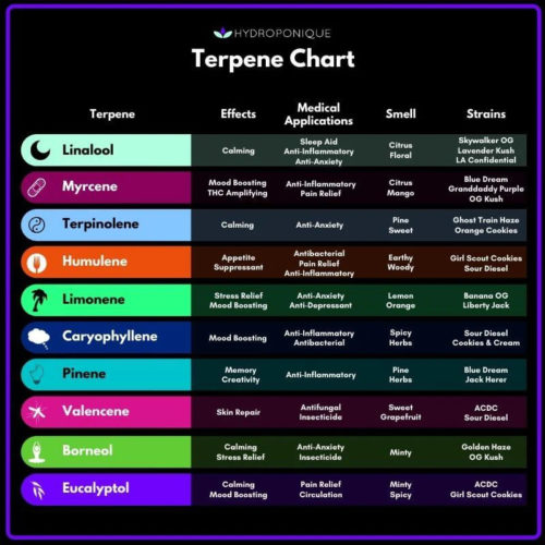 Terpene Chart