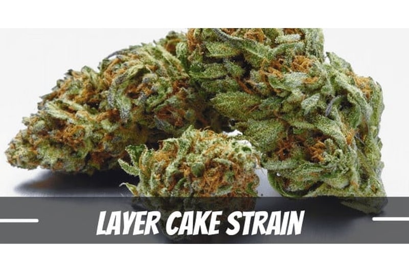 layer-cake-Strain