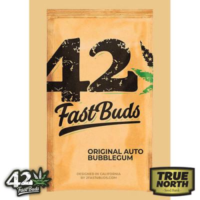 original auto bubblegum fastbuds tnsb 3