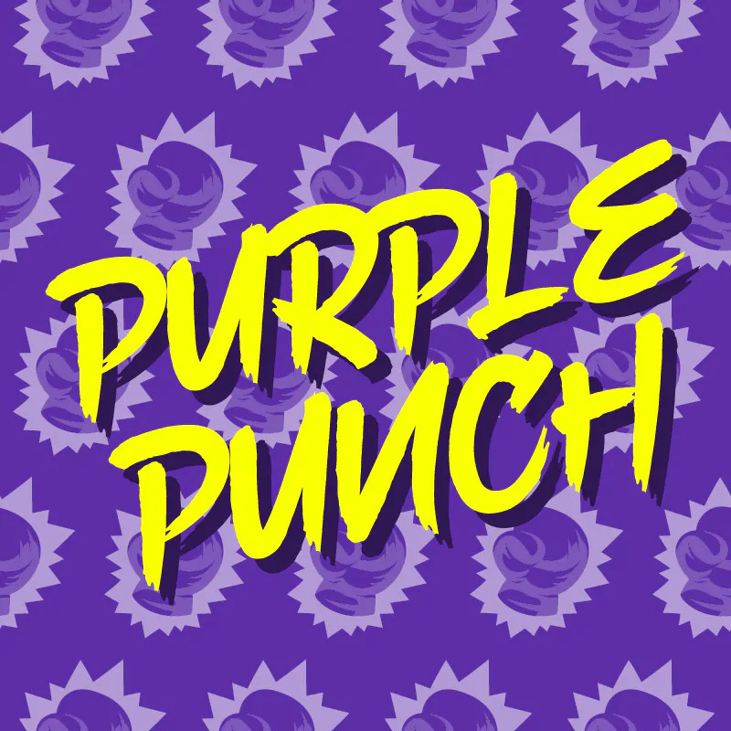 purple punch 1