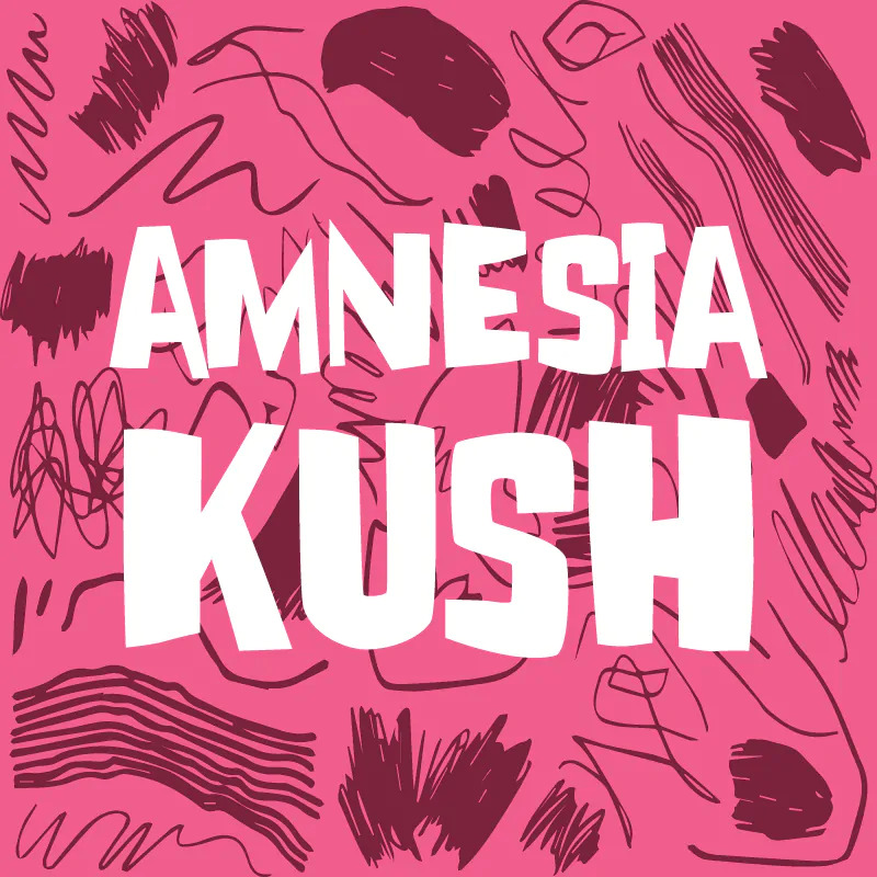 amnesia kush 1