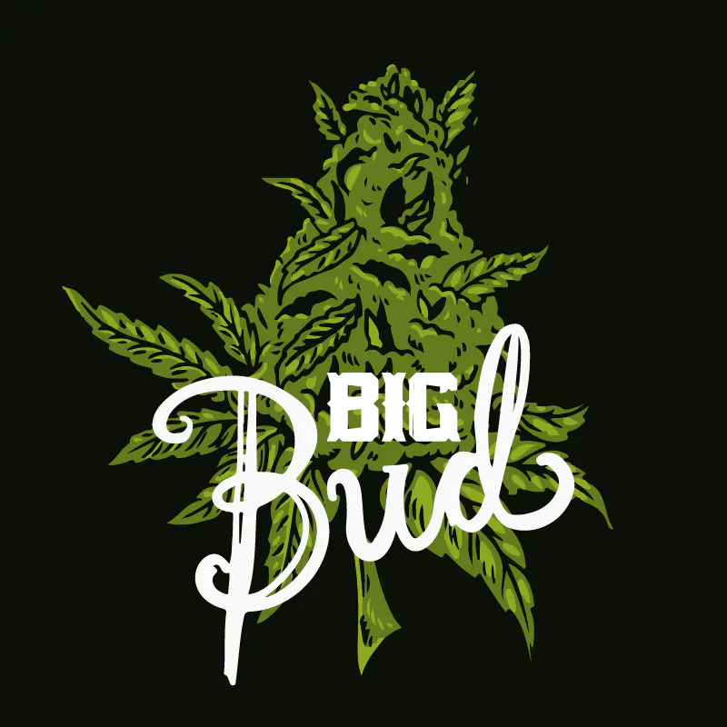 big bud 1 1