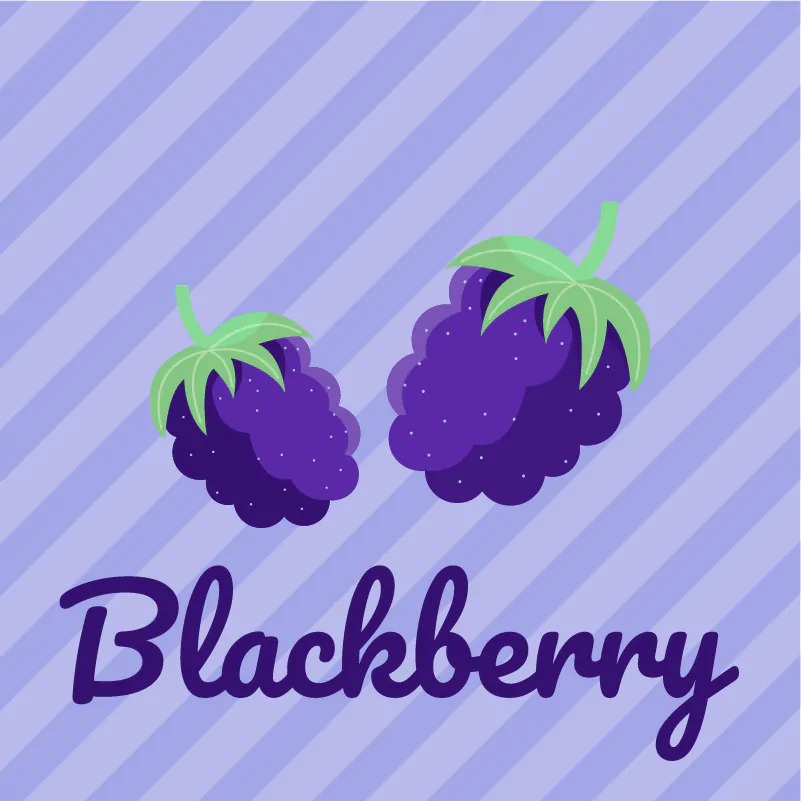 blackberry kush 1