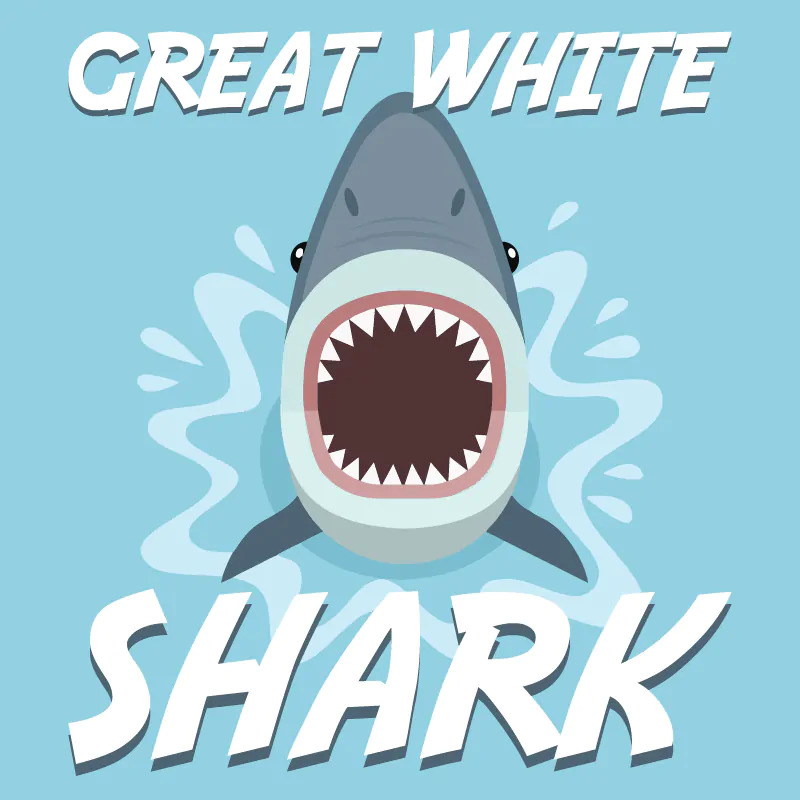 great white shark 1