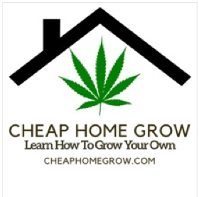 CheapHomeGrow-PlantGrowth