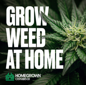 Grow Weed at Home logo