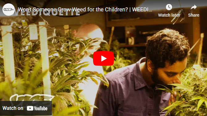 GrowWeedForTheChildren