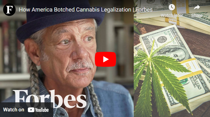 How America Botched Cannabis Legalization
