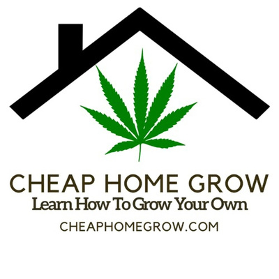CheapHomeGrow