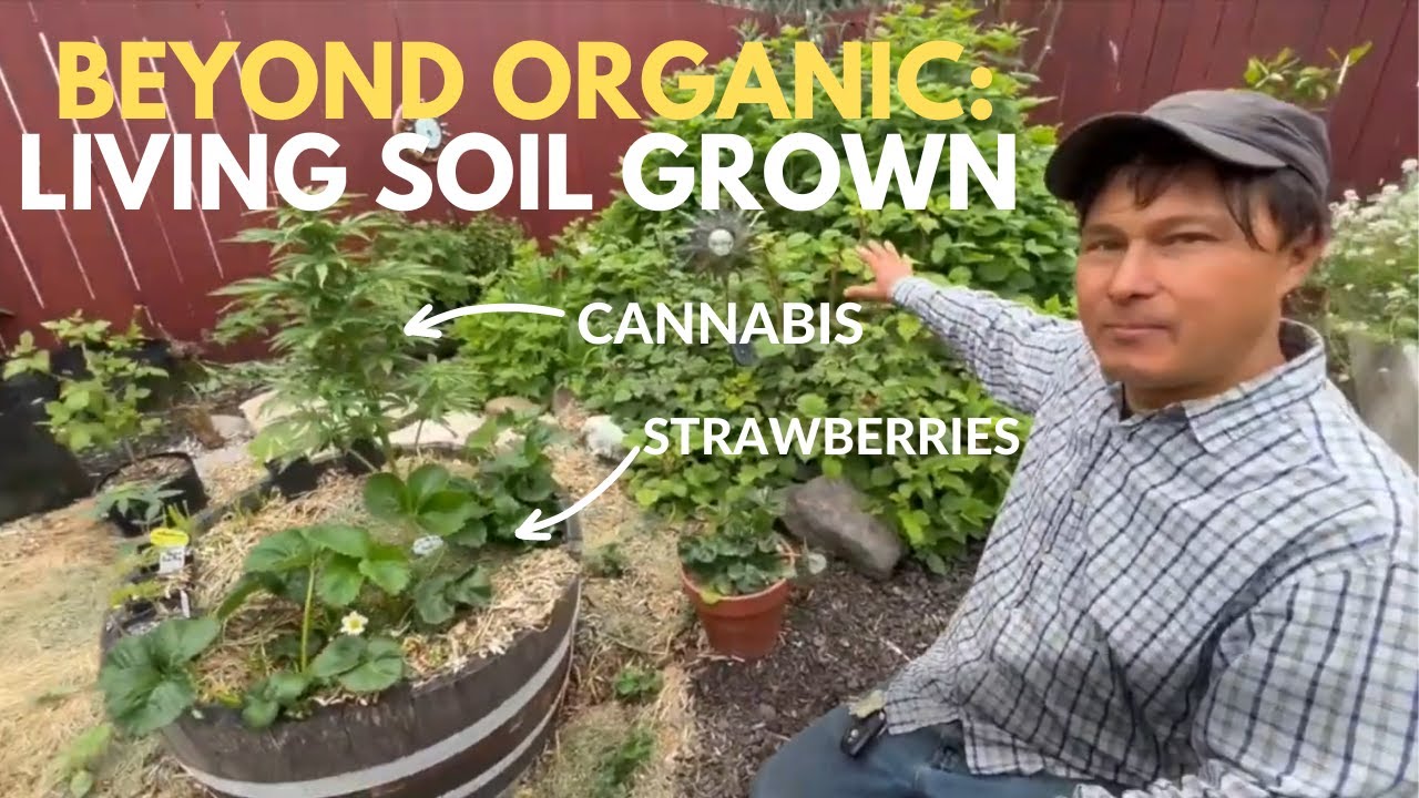 Grow Cannabis & Vegetables in Living Soil
